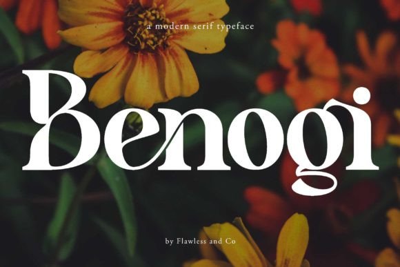 Benogi: A Serif Font That Gives Your Brand a Polished Look