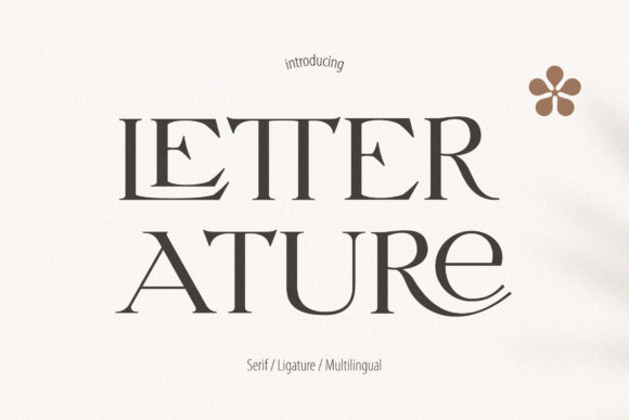 Letterature Serif Font: A Small Business Branding Story